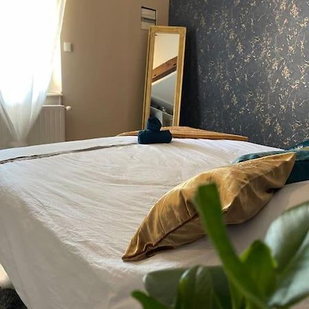 Appartement De Charme 80M2 Givors Dış mekan fotoğraf