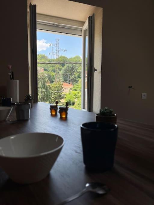 Appartement De Charme 80M2 Givors Dış mekan fotoğraf