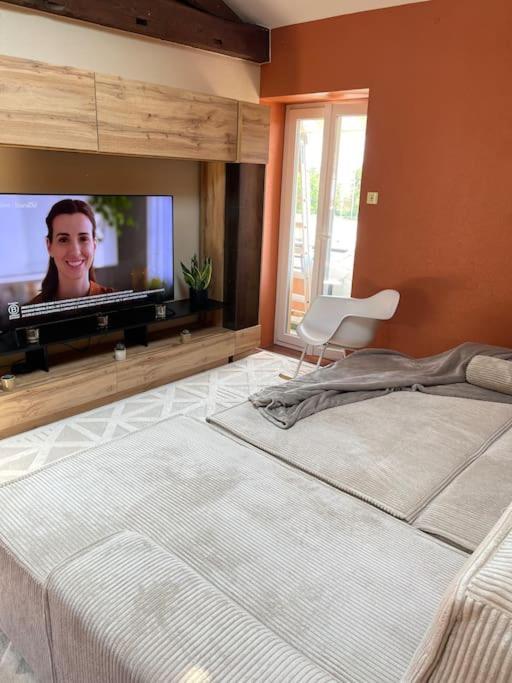 Appartement De Charme 80M2 Givors Dış mekan fotoğraf