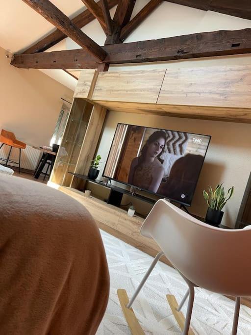 Appartement De Charme 80M2 Givors Dış mekan fotoğraf