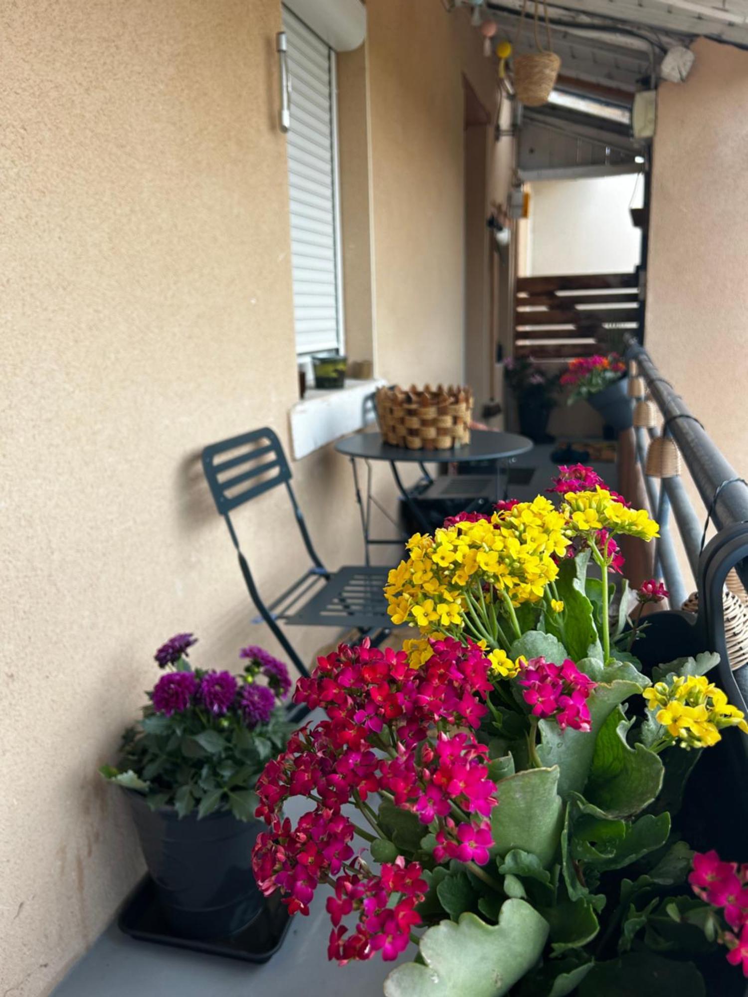 Appartement De Charme 80M2 Givors Dış mekan fotoğraf